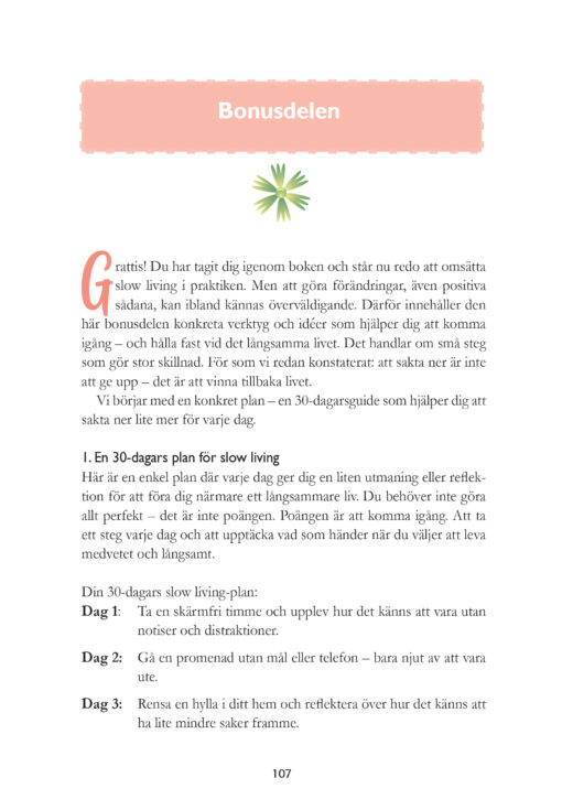 Sakta ner - kan vi inte bara leva lite istället - Bild 15
