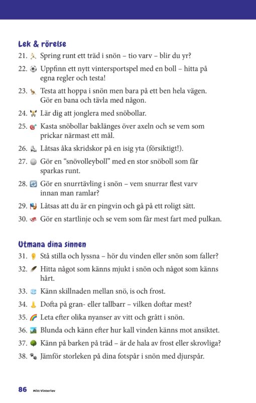 Mitt vinterlov - Boken som bevarar vinterns bästa stunder för alltid - Bild 14
