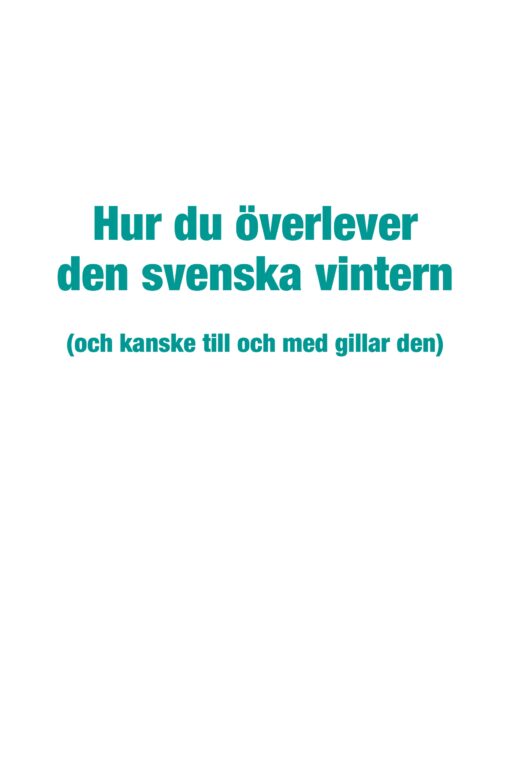 Hur du överlever den svenska vintern - Bild 2