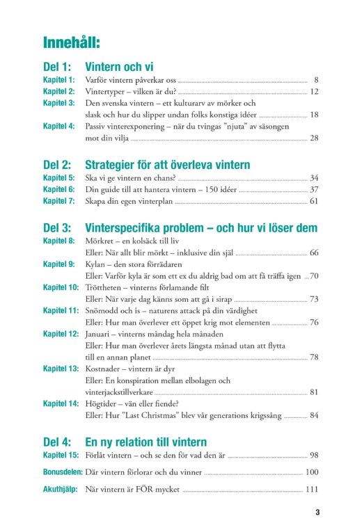 Hur du överlever den svenska vintern - Bild 3