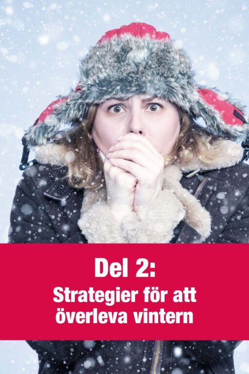 Hur du överlever den svenska vintern - Bild 7