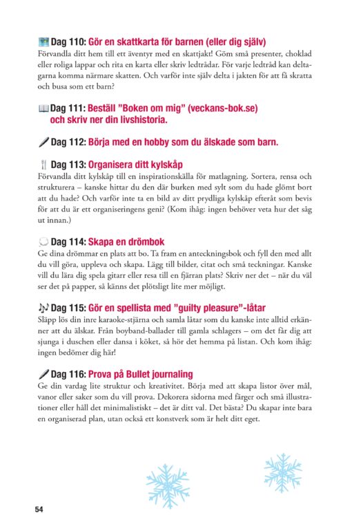 Hur du överlever den svenska vintern - Bild 9