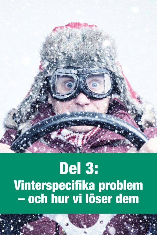 Hur du överlever den svenska vintern - Bild 11