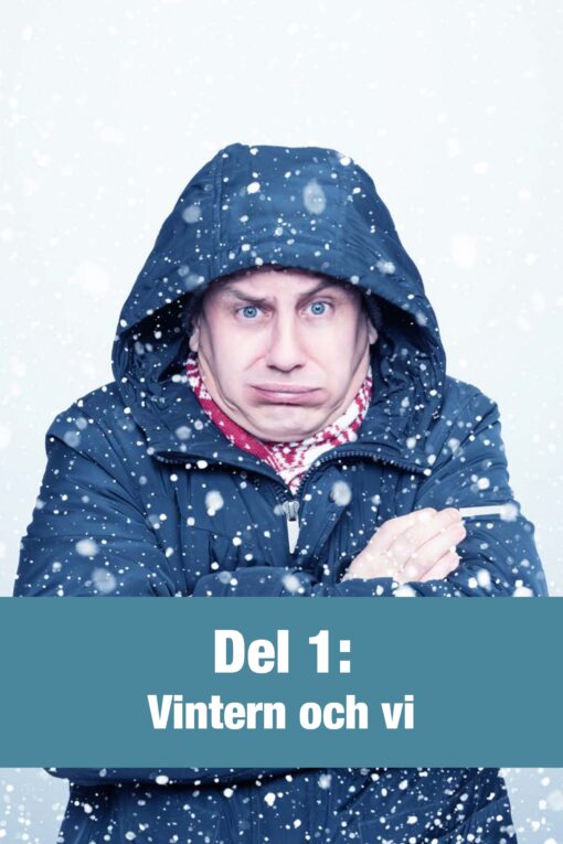 Hur du överlever den svenska vintern - Bild 4