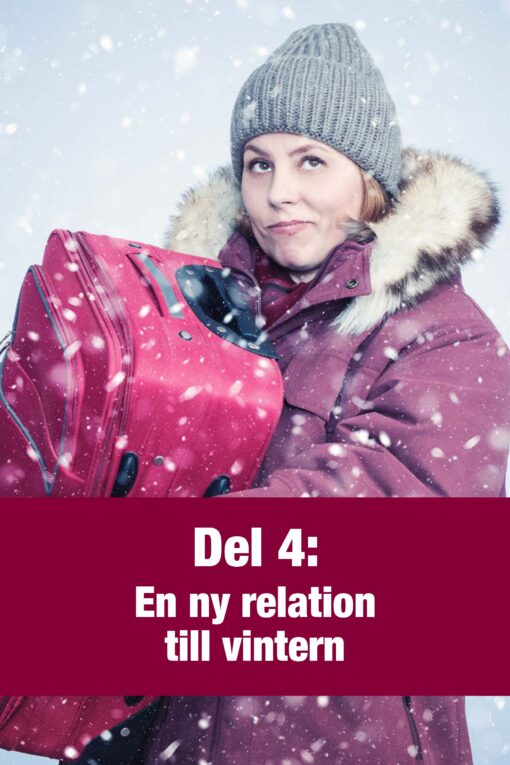 Hur du överlever den svenska vintern - Bild 13